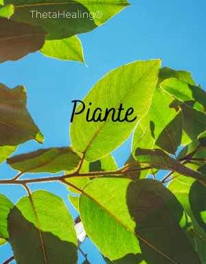 Piante_Corso_Thetahealing-Plant-Intuitive_Note