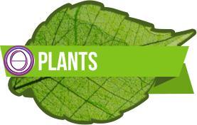 Piante_Corso_Thetahealing-Plant-Intuitive_Note